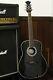 1980's Made Tornado By Morris Axj Electric Acoustic Guitar Made In Japan