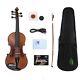 5string Electric Acoustic Violin 4/4 Size Maple Back Spruce Top Hand Made Violin