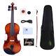 5 String Electric Violin Acoustic 4/4 Solid Maple Spruce Wood With Case Bow