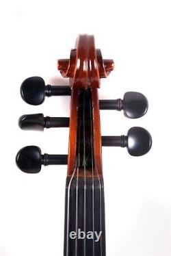 5 String Electric Violin Acoustic 4/4 Solid Maple Spruce wood with Case Bow