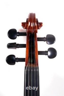 5string Electric Acoustic Violin Maple Spruce Ebony Fittings Advance Sound #EV1