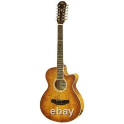 Acoustic Electric Guitar Aria FET-DLX 12 LVS Natural 12 String