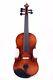 Brown 4/4 Electric Acoustic Violin 5 String Maple Spruce Wood Handmade Violin