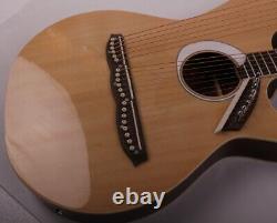 Double Neck 12+8 strings string Electric Acoustic Harp Guitar with EQ