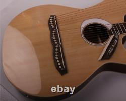 Double Neck Harps 12+8 string Electric Acoustic Harp Guitar EQ and Bag Natural