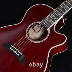 Takamine / TDP181AC WR Acoustic Electric Guitar