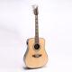 Zuwei 12 String 1 Electric Acoustic Guitar Solid Spruce Top Real Abalone Inlay